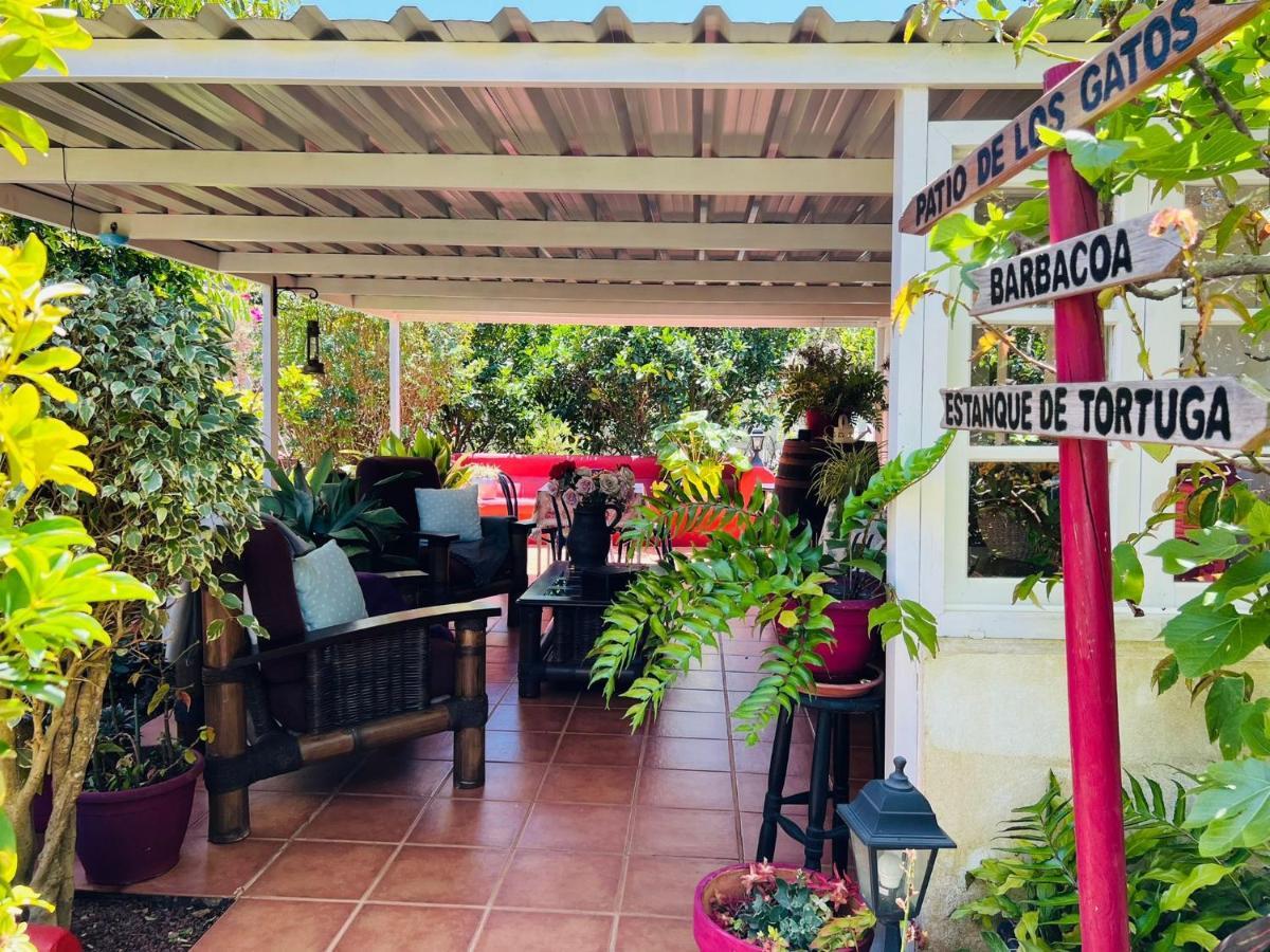 Casa Lazaro, Tegueste מראה חיצוני תמונה